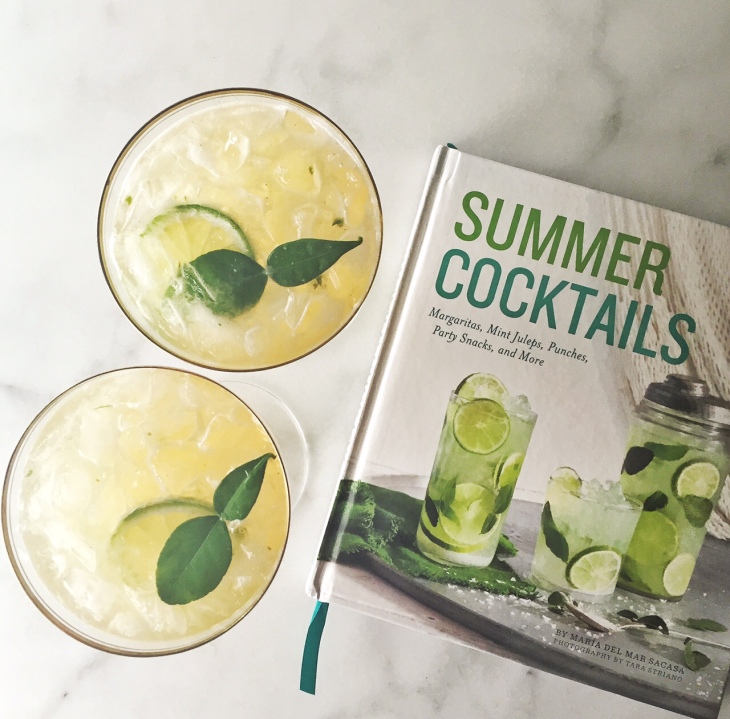 Salty Lime Soda from Summer Cocktails