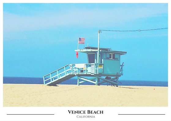one-vanilla-bean-venice-beach-postcard